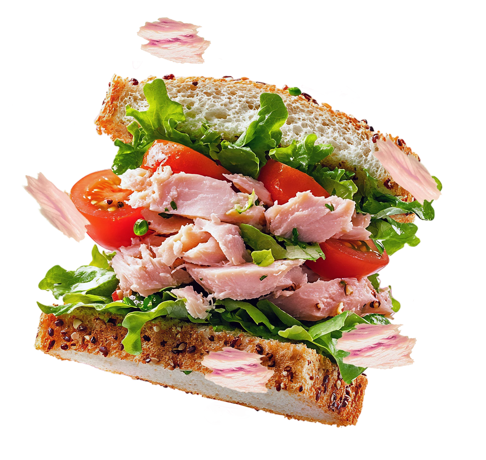 hambuerguesa-de-atun-tuny-banner
